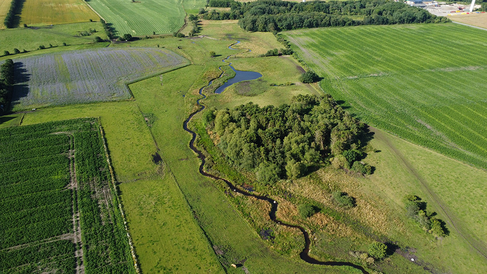 vandløb lodsejermøde skive kommune fjordland danmarks naturfredningsforening natur grøn trepart
