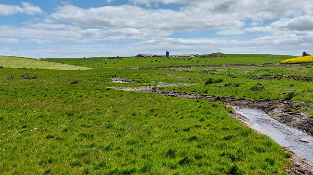 Vådområdeprojekt Grydsbæk
